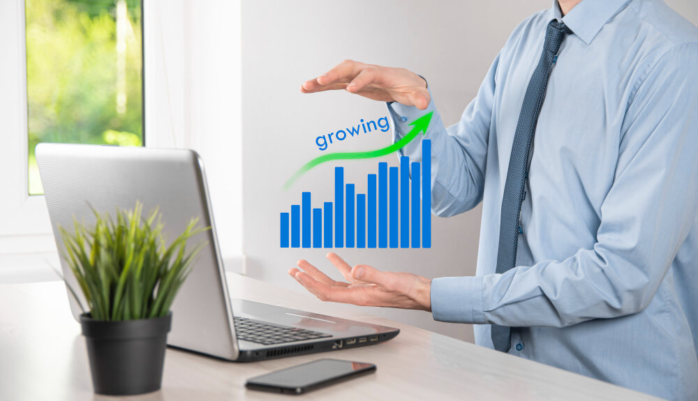 Growth and Scaling Strategies